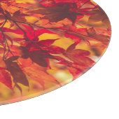 Herbstleaves fallen Blätter rot Natur Schneidebrett (Ecke)