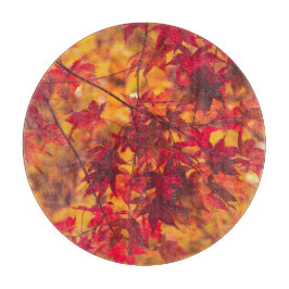 Herbstleaves fallen Blätter rot Natur Schneidebrett