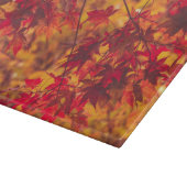 Herbstleaves fallen Blätter Schneidebrett (Ecke)