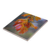 Herbstleaves Fliese (Seite)