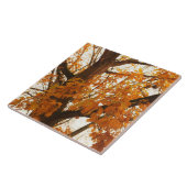 Herbstleaves Fliese (Seite)