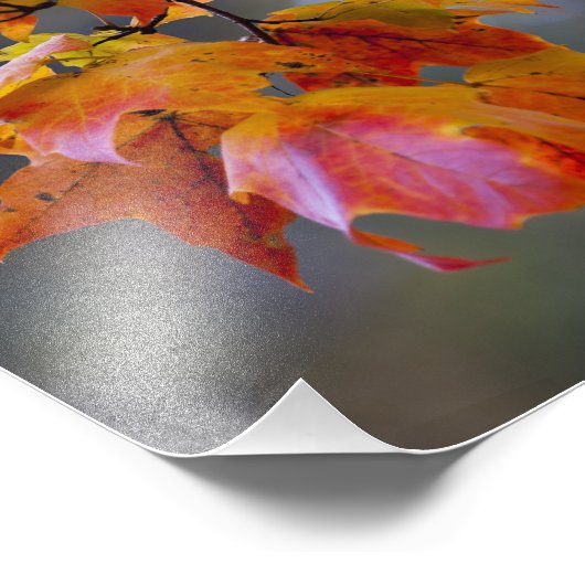 Herbstleaves Fotodruck (Ecke)
