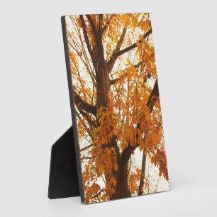 Herbstleaves Fotoplatte