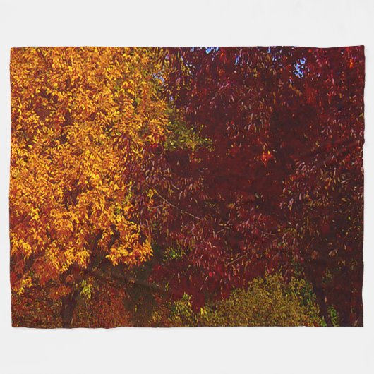 Herbstleaves Gelb und Lila, ZSSPG Fleecedecke (Vorderseite (Horizontal))