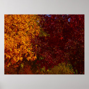 Herbstleaves Gelb und Lila, ZSSPG Poster