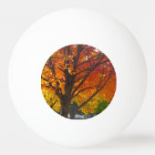 Herbstleaves Gelb und Lila, ZSSPG Tischtennisball (Rückseite)