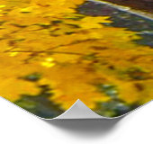 Herbstleaves Gelb und Orange, Vertikales ZSSPG Poster (Ecke)