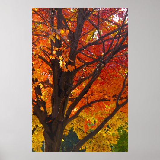 Herbstleaves Gelb und Orange, Vertikales ZSSPG Poster (Vorne)