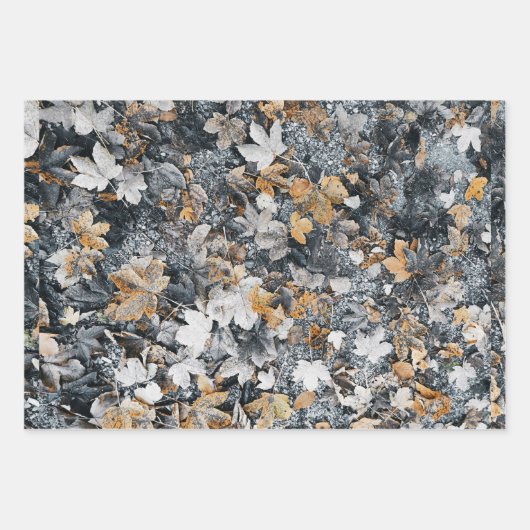 Herbstleaves Geschenkpapier Set (Vorderseite)