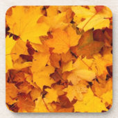 Herbstleaves Getränkeuntersetzer (Vorderseite)