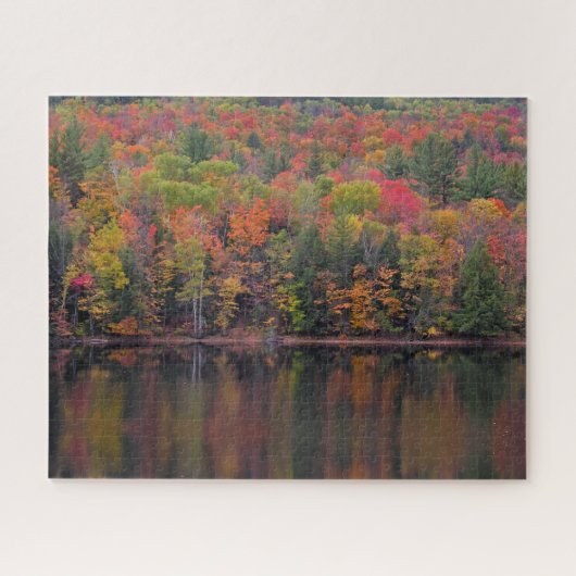 Herbstleaves Herbstfarbe Szene Jigsaw Puzzle (Horizontal)