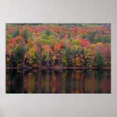 Herbstleaves Herbstfarben-Poster Poster (Vorne)