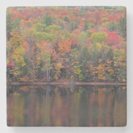 Herbstleaves Herbstfarben-Szene Stone-Untersetzer Steinuntersetzer