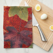 Herbstleaves Herbstsaison Treppenleaf farbenfroh Geschirrtuch (Viertel Falte)