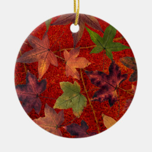 Herbstleaves Herbstsaison Treppenleaf farbenfroh Keramikornament