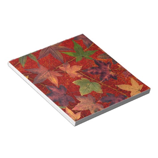 Herbstleaves Herbstsaison Treppenleaf farbenfroh Notizblock (angewinkelt)