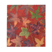 Herbstleaves Herbstsaison Treppenleaf farbenfroh Notizblock (Vorderseite)