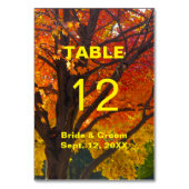 Herbstleaves Hochzeitskarte Tischnummer (Rückseite)
