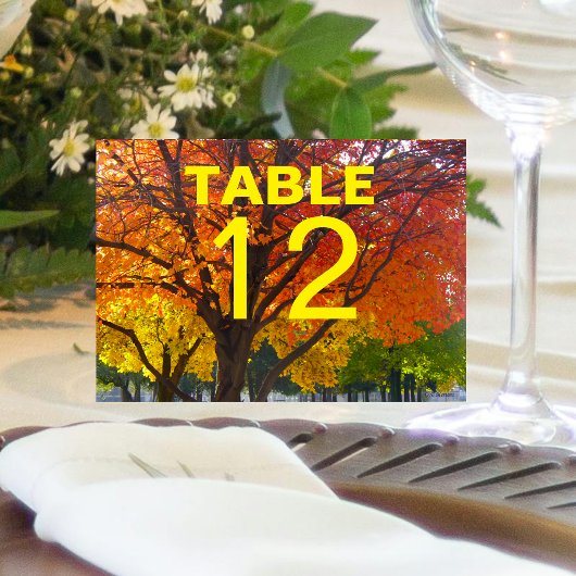 Herbstleaves Hochzeitskarte Tischnummer