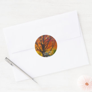 Herbstleaves Hochzeitsticker Runder Aufkleber