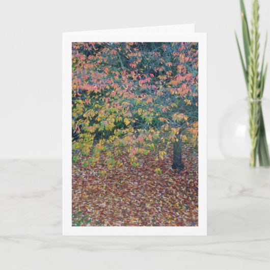 Herbstleaves Karte (Vorderseite)