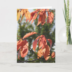 Herbstleaves Karte