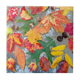 Herbstleaves Keramik Coster Tile Fliese