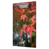 Herbstleaves Klemmbrett (Links)