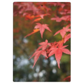 Herbstleaves Klemmbrett (Rückseite)