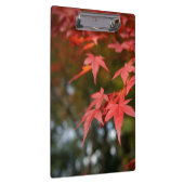 Herbstleaves Klemmbrett (Rechts)