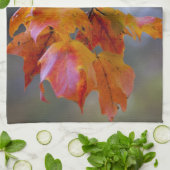 Herbstleaves Küchentuch (Gefaltet)