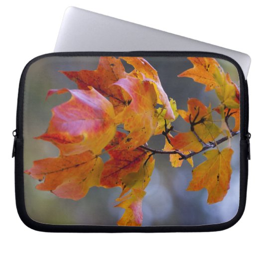 Herbstleaves Laptopschutzhülle (Vorderseite)