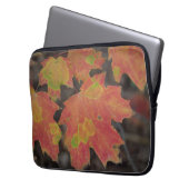 Herbstleaves Laptopschutzhülle (Vorderseite Links)