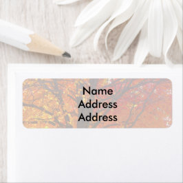 Herbstleaves Light Rücksendeadressen-Aufkleber