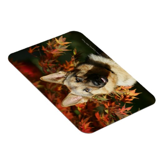Herbstleaves Magnet (Rechte Seite)