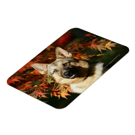 Herbstleaves Magnet (Linke Seite)