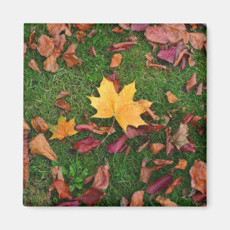 Herbstleaves Magnet