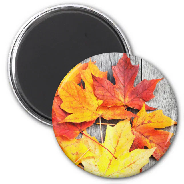 Magnet-Blatt-Herbst-Blatt-Magnete-Blatt-Magnet Kühlschrank-Magnet