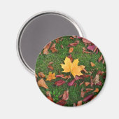 Herbstleaves Magnet (Vorderseite/Rückseite)