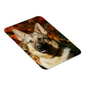 Herbstleaves Magnet (Rechte Seite)