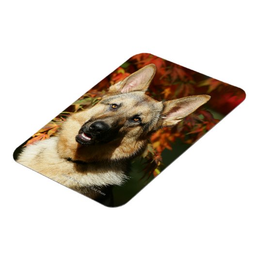 Herbstleaves Magnet (Linke Seite)