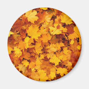 Herbstleaves Magnet