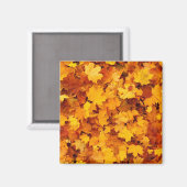 Herbstleaves Magnet (Vorderseite/Rückseite)