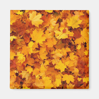 Herbstleaves Magnet