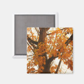 Herbstleaves Magnet (Vorderseite/Rückseite)