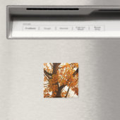 Herbstleaves Magnet (In Situ (Geschirrspüler))