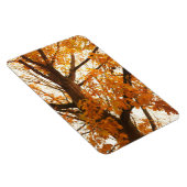 Herbstleaves Magnet (Rechte Seite)