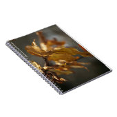 Herbstleaves Notebook Notizblock (Rechte Seite)