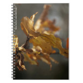 Herbstleaves Notebook Notizblock (Vorderseite)