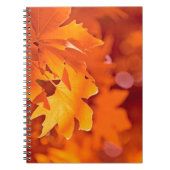 Herbstleaves Notizblock (Vorderseite)